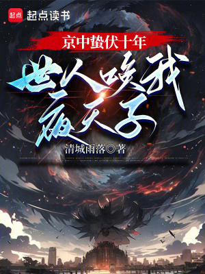  大乾夜天子